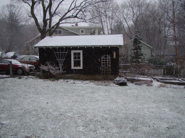 Morning Snow, March 26, 2010