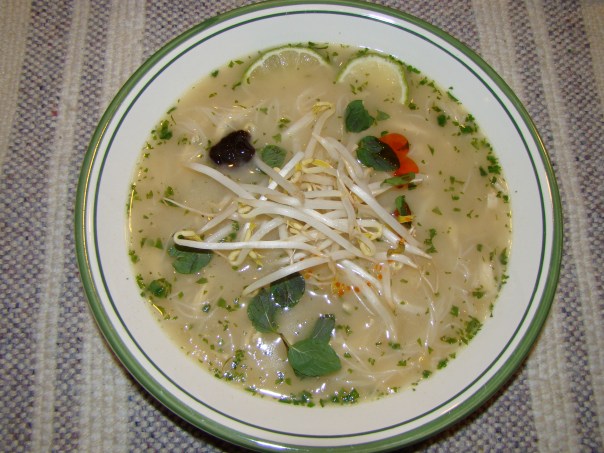 Vietnamese Spicy Chicken Noodle Soup
