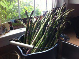 Bucket of Asparagus