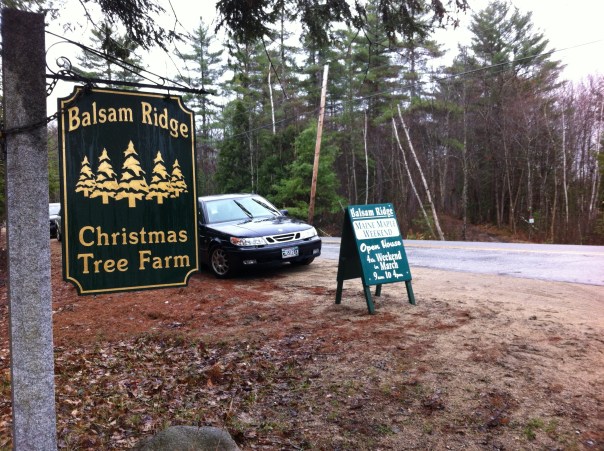 Balsam Ridge Christmas Tree Farm