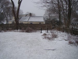 Backyard at start of storm, noon on February 8, 2013