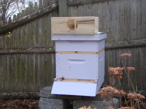 Hive with empty package on top