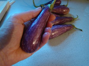 Fairy Tale Eggplant: So tiny, aren't they cute?
