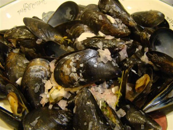 Mussels