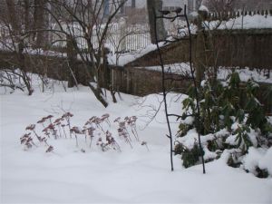 Notice that the 1-foot mark on my snow gauge is covered...