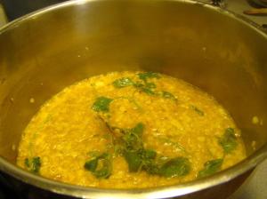 Ready to add mussels