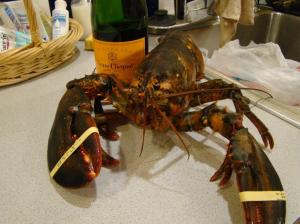 Big Lobster