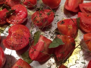 Tomatoes Before Drying