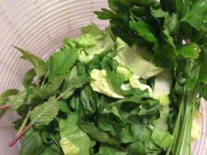 Lettuce Plus Parsley and 3 kinds of garden-fresh mint!