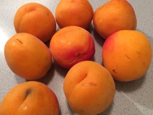 2 pounds of giant apricots